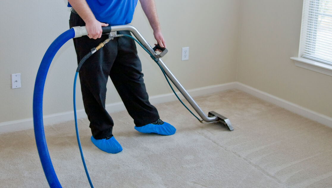 hot water extration carpet cleaning